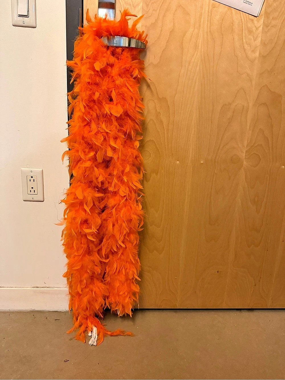 Orange Feather Boa